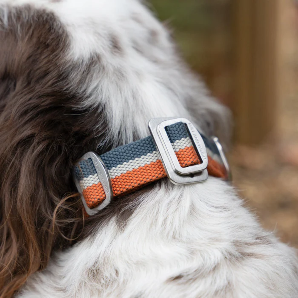 Ruff & Tumble All-Terrain Collar - Navy/Amber