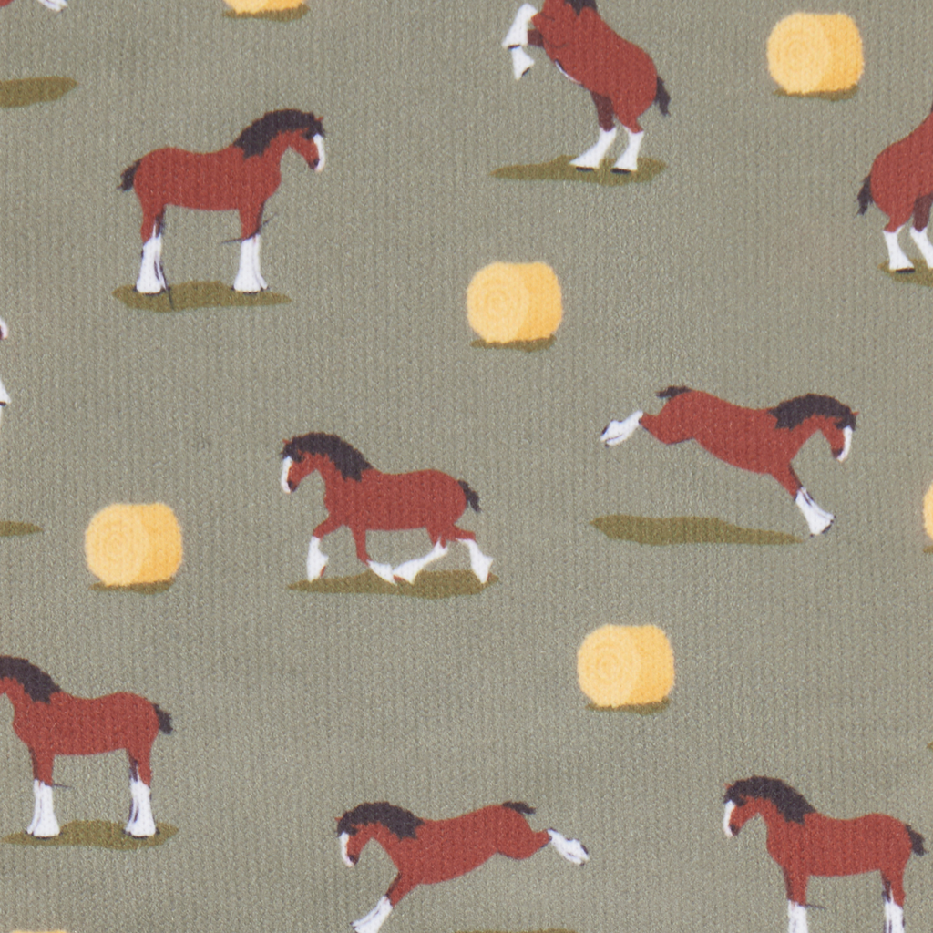 LeMieux Footsie Socks - Clydesdale/Willow
