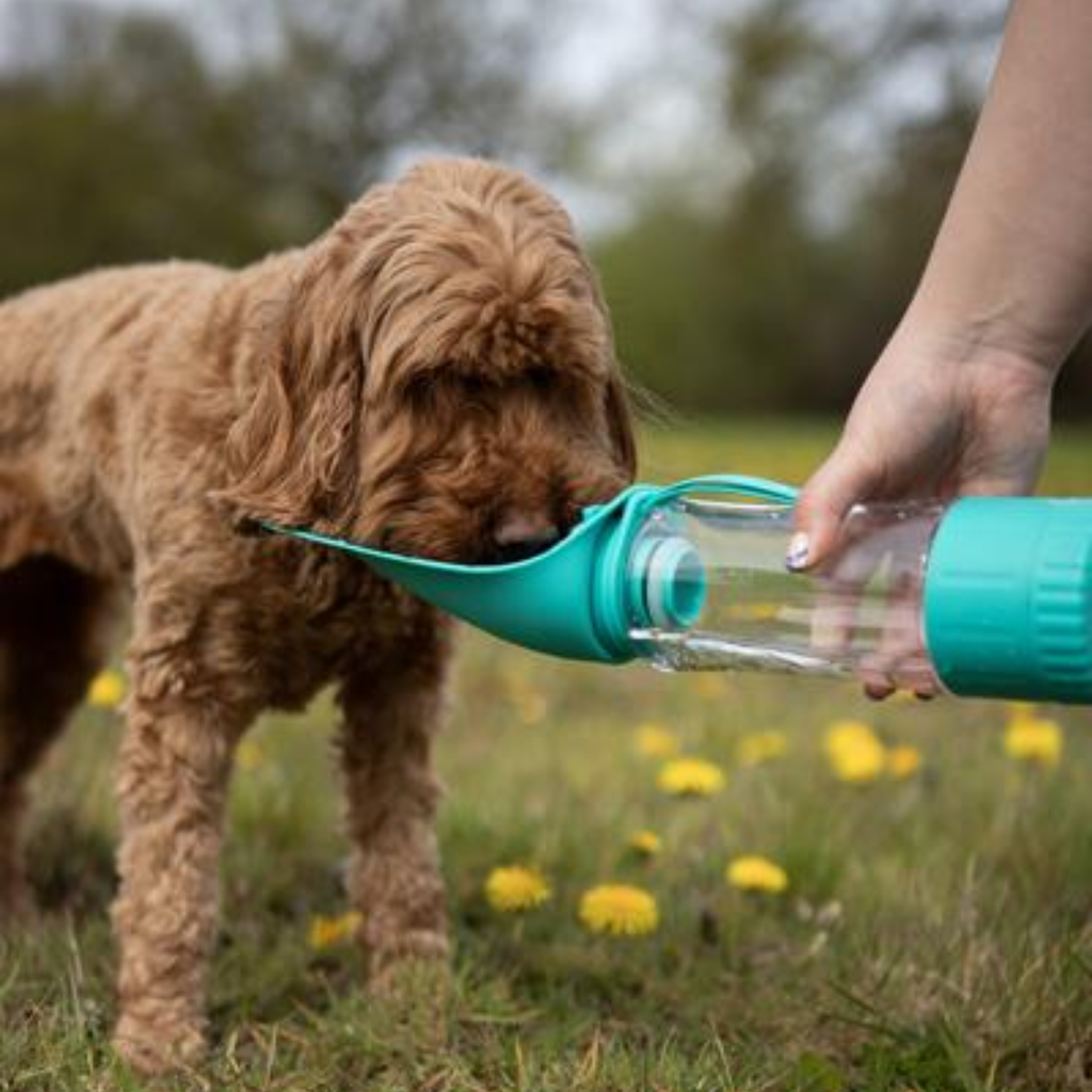 Biosafe 2 In 1 Large Dog Travel Bottle