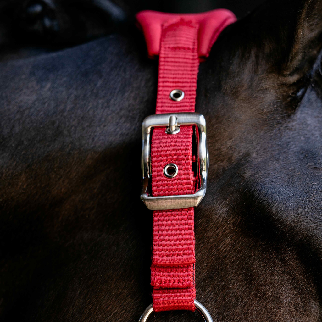 LeMieux Breakaway Vogue Headcollar - Chilli