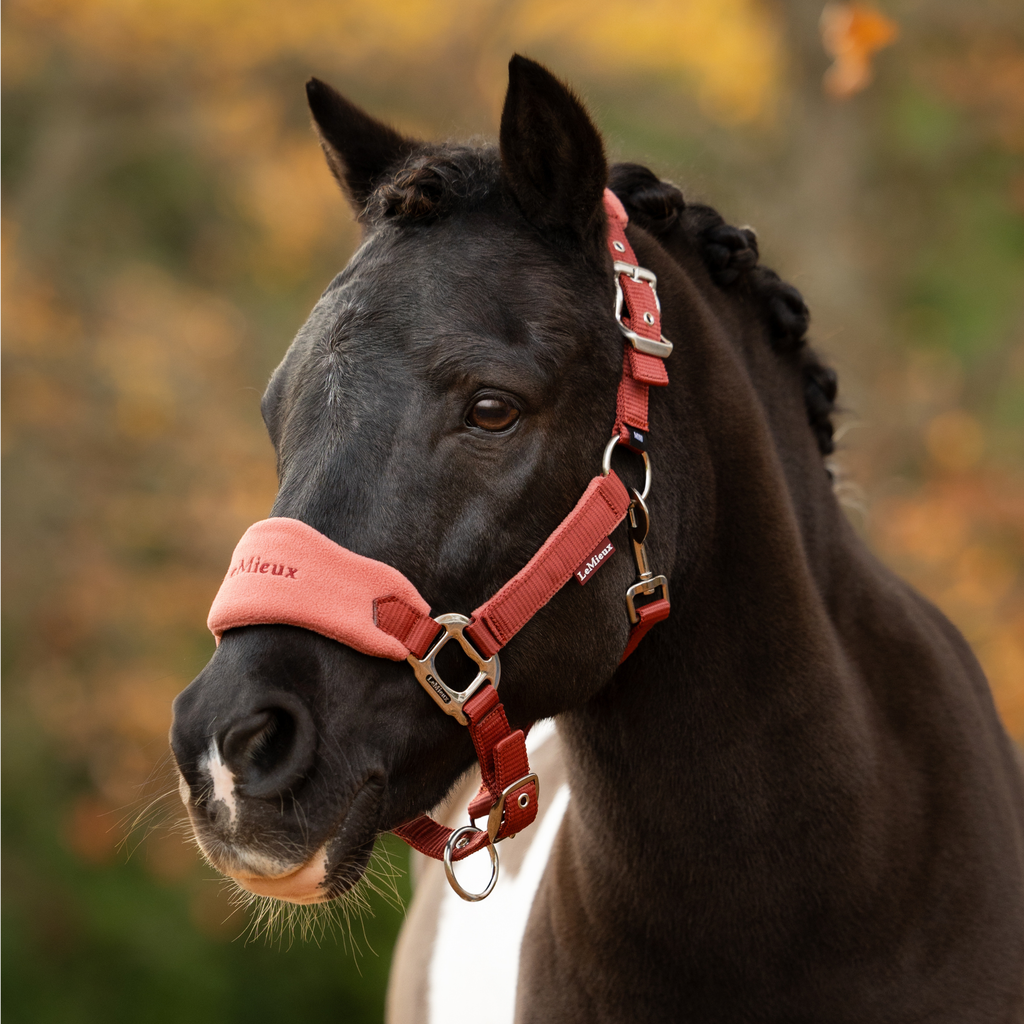 LeMieux Vogue Headcollar & Leadrope - Russet