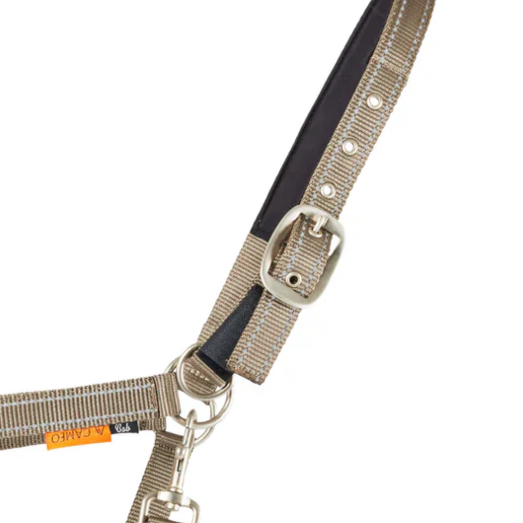 Cameo Fieldsafe Headcollar- Mocha