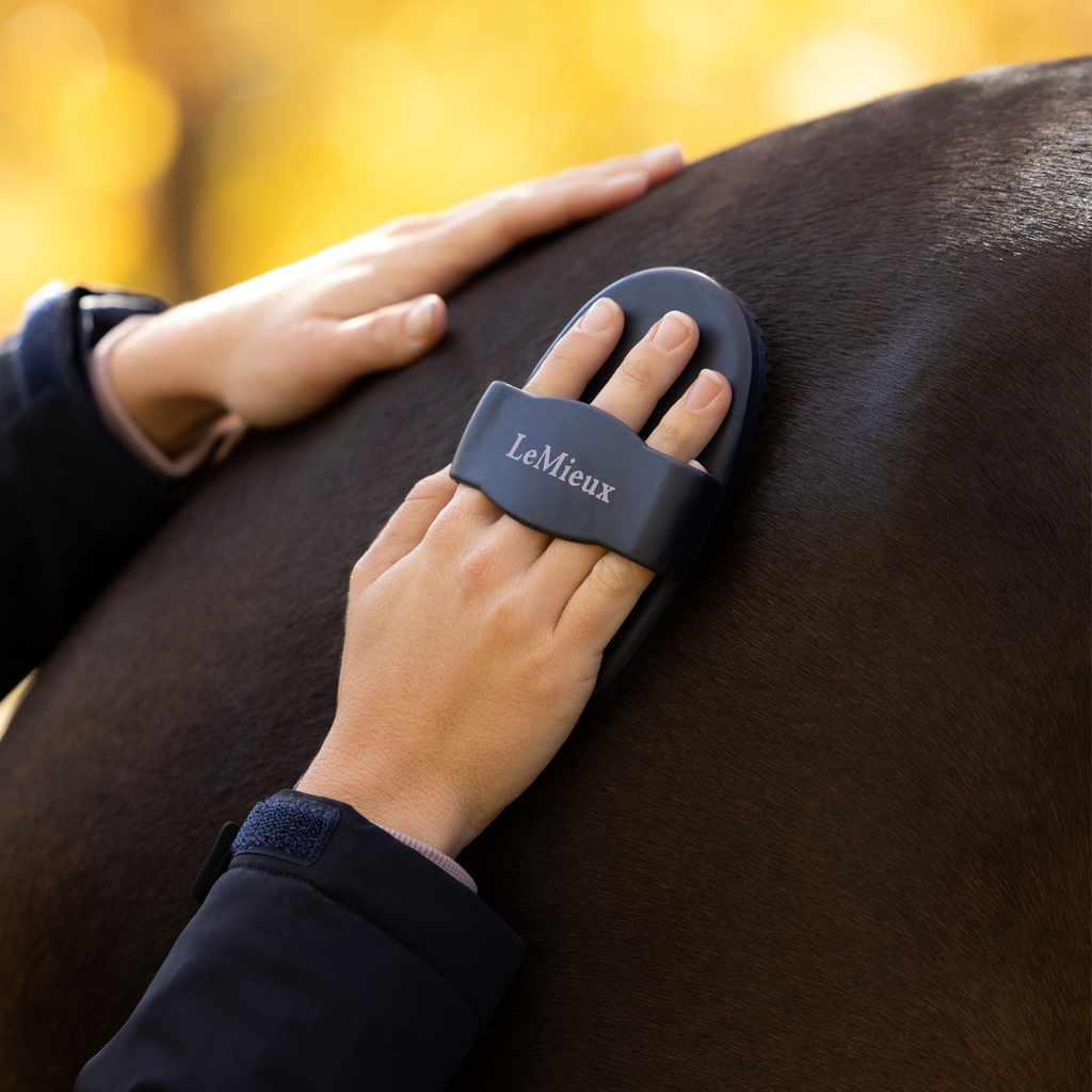 LeMieux Rubber Curry Comb - Navy