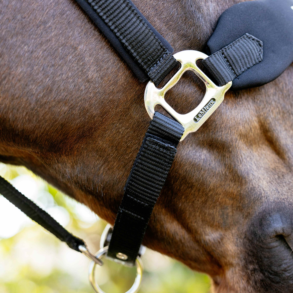 LeMieux Breakaway Vogue Headcollar - Black