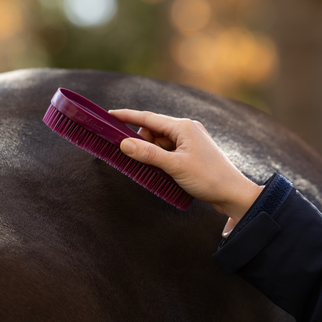 LeMieux Wizard Brush Trio - Wild Rose/Blackberry/Willow