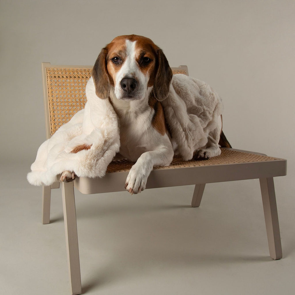 Scruffs Festive Fur Blanket - Cream