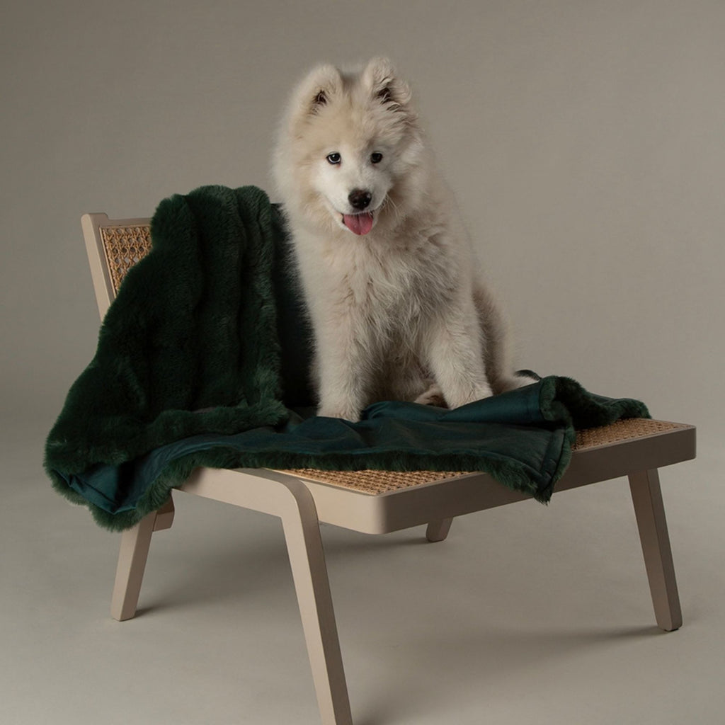 Scruffs Festive Fur Blanket - Green
