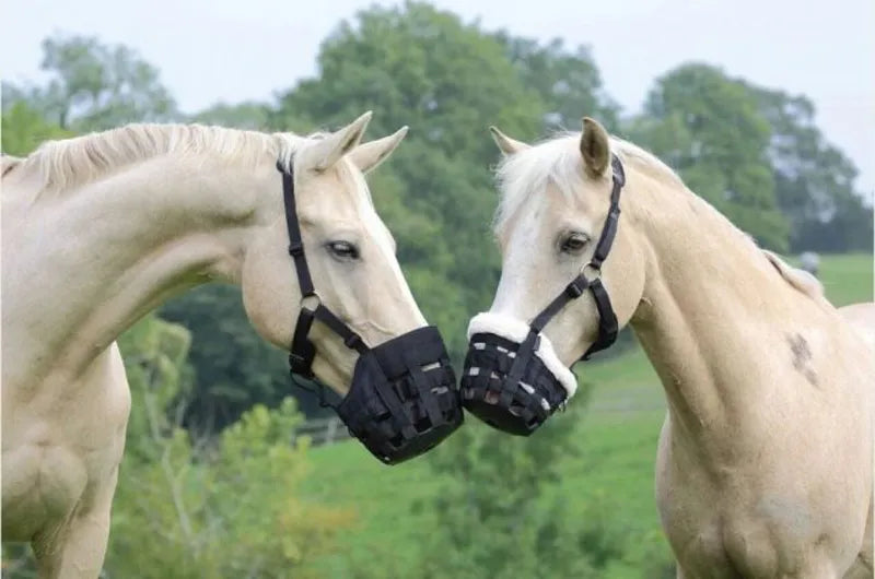 Comfort Grazing Muzzle - Black
