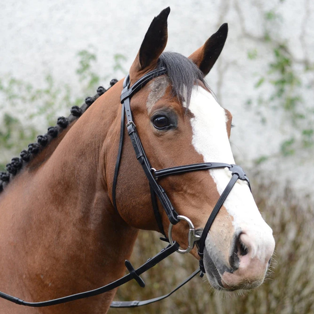Mackey Classic Mexican Grackle Bridle - Black