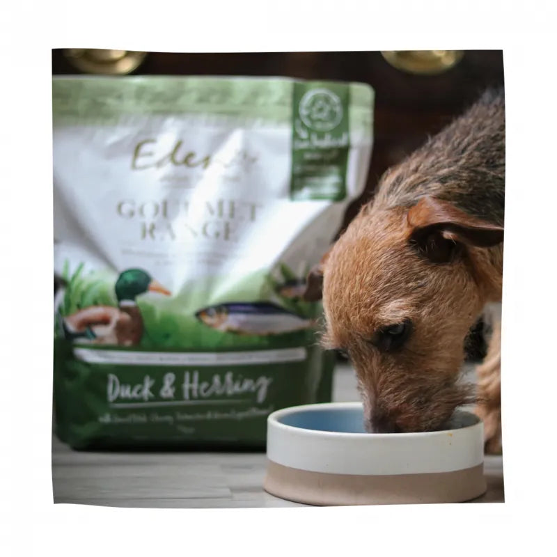 Eden Gourmet Range Duck and Herring - 2kg