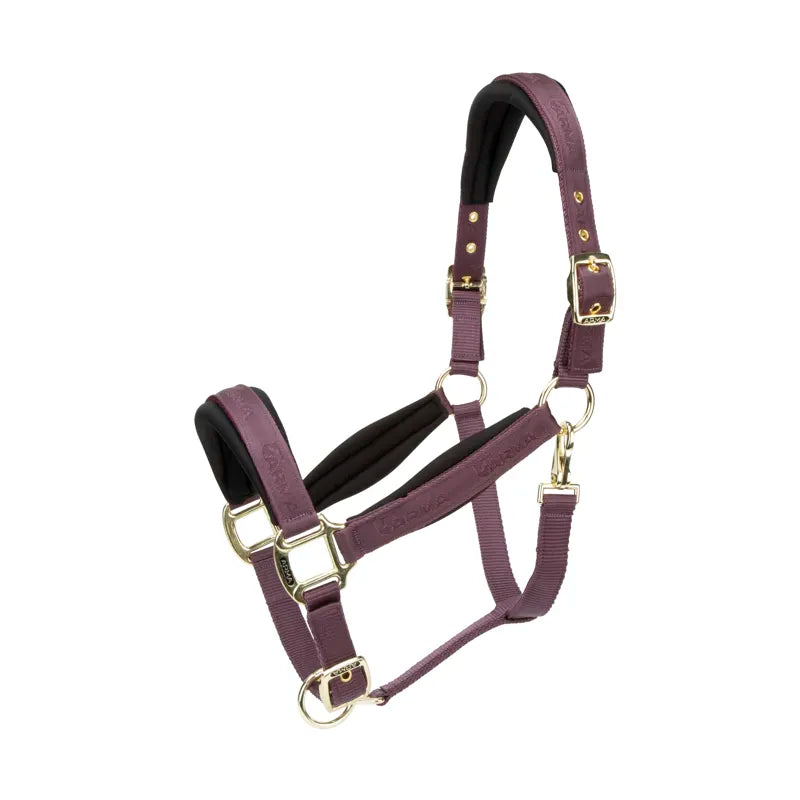 ARMA Padded Headcollar - Black Cherry