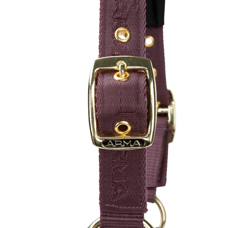 ARMA Padded Headcollar - Black Cherry