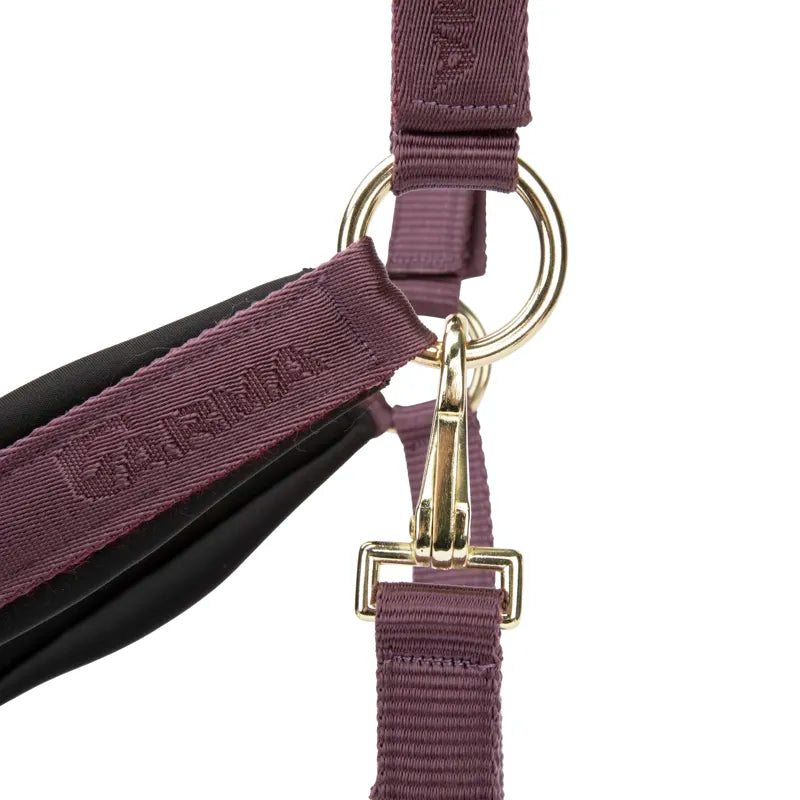 ARMA Padded Headcollar - Black Cherry