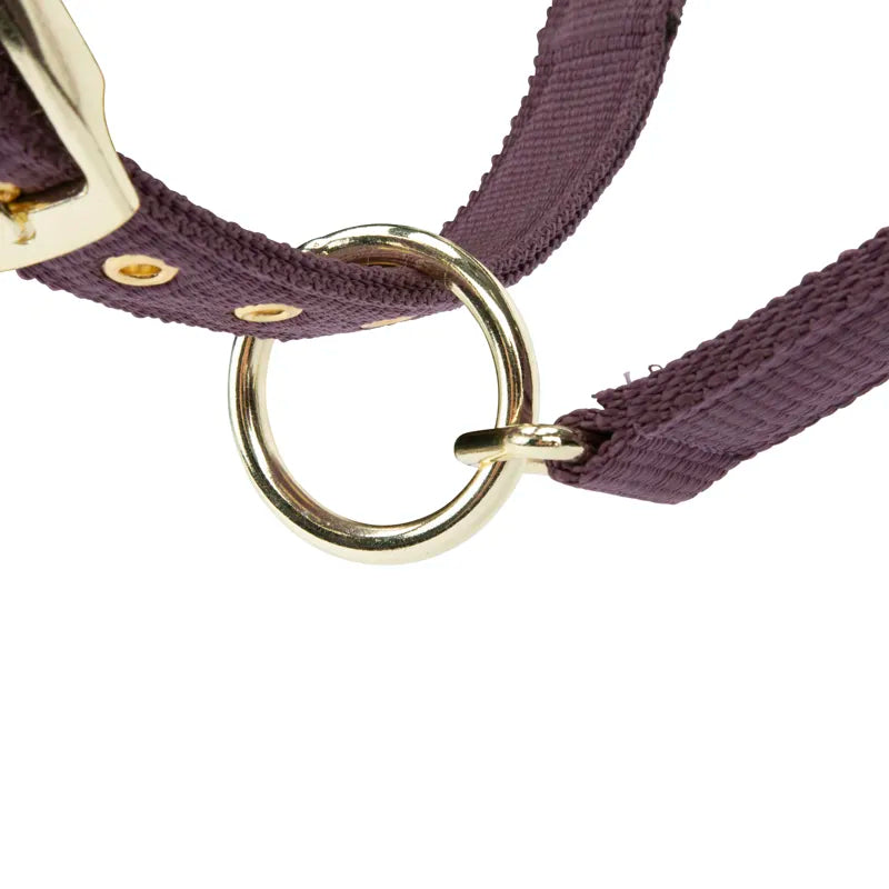 ARMA Padded Headcollar - Black Cherry