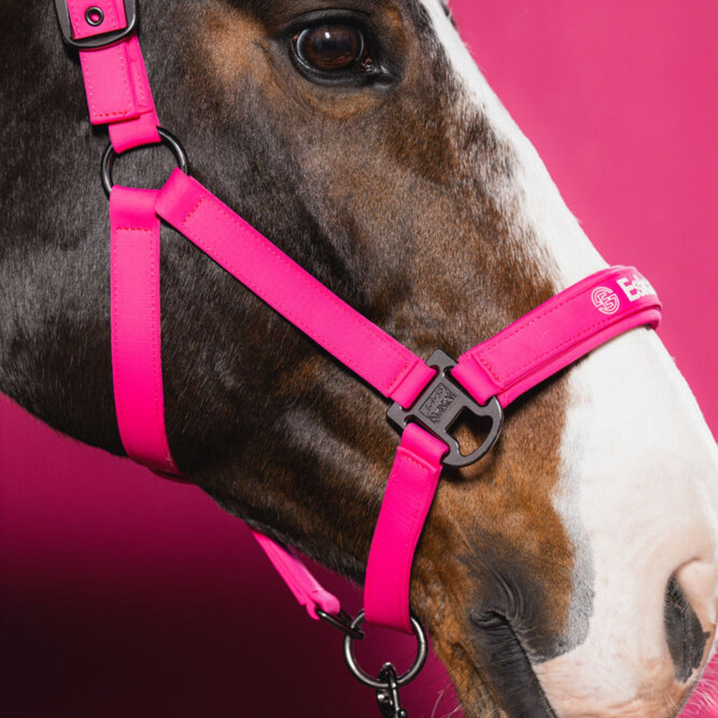 Eskardron Softshell Double Pin Headcollar - Lipstick