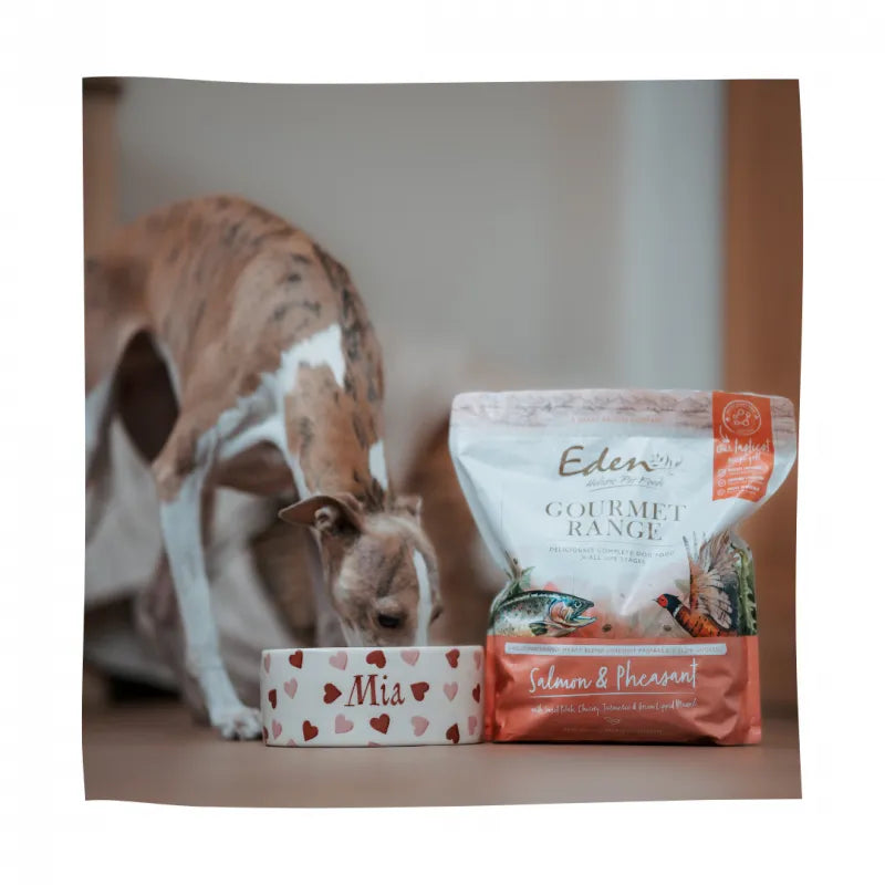 Eden Gourmet Range Salmon and Pheasant - 2kg