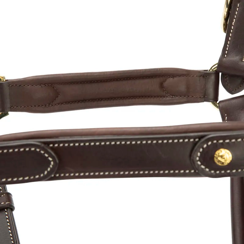 Velociti LUSSO Lorca Leather Headcollar - Havana