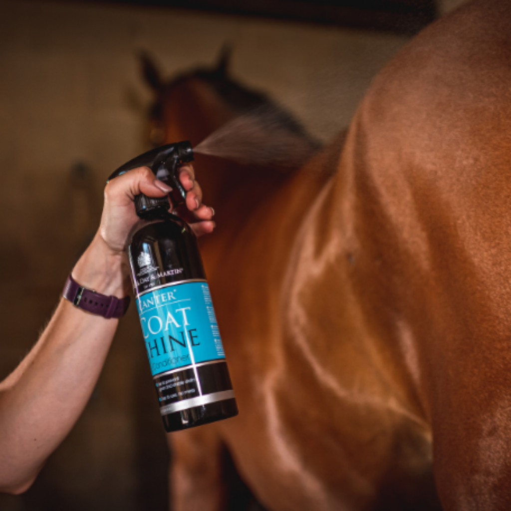 Carr Day Martin Canter Coat Shine Conditioner - 500ml