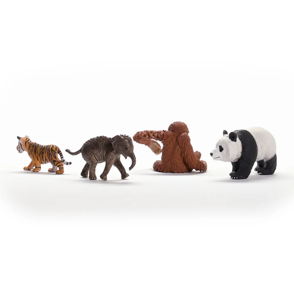 Schleich Wild Life Asia Starter Kit