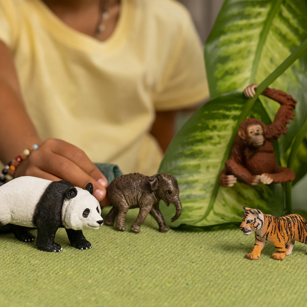 Schleich Wild Life Asia Starter Kit