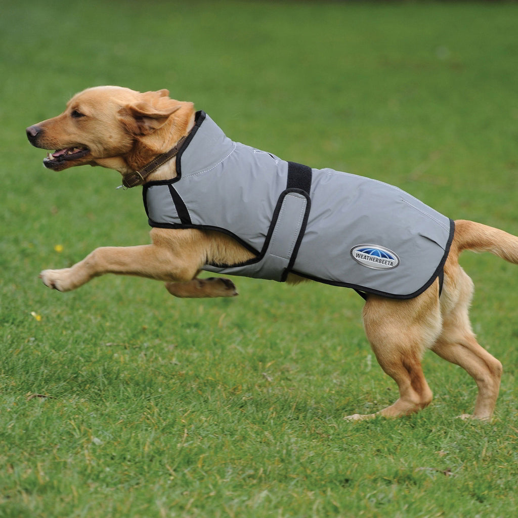WeatherBeeta ComFiTec Reflective Dog Coat - Silver