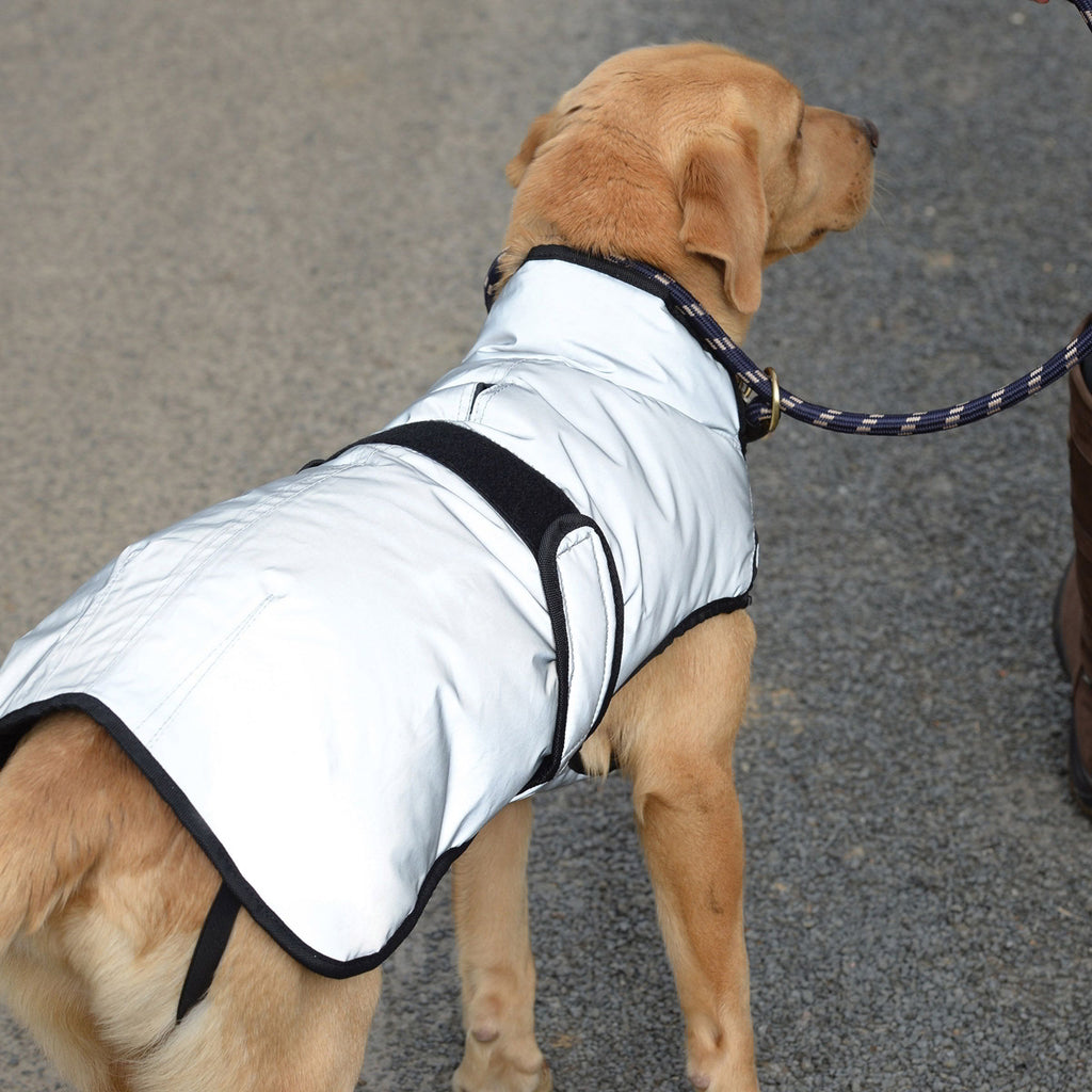 WeatherBeeta ComFiTec Reflective Dog Coat - Silver
