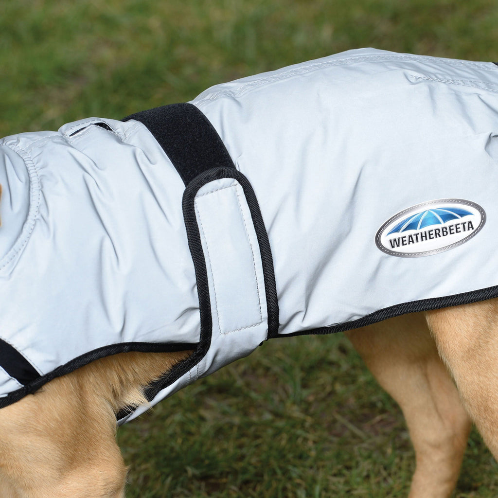 WeatherBeeta ComFiTec Reflective Dog Coat - Silver