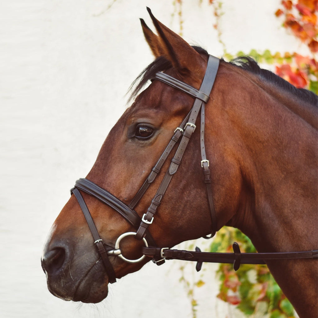 Mackey EquiSential Bridle and Reins - Brown