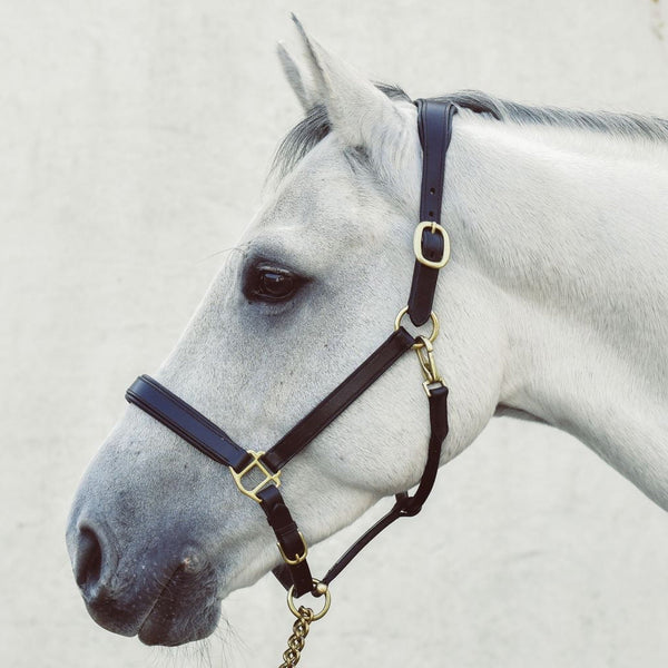 Mackey Legend Helios Headcollar - Brown
