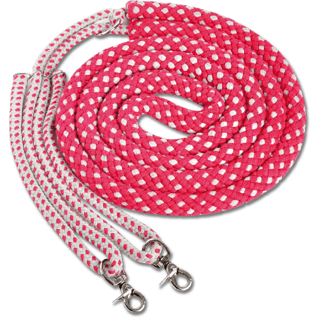 Mackey Lunging Aid