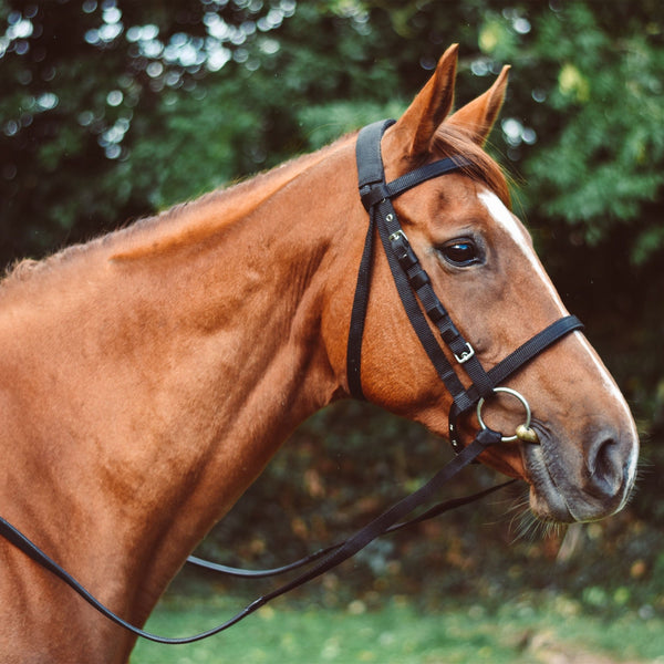 Mackey Equisential Nylon Reins - Black