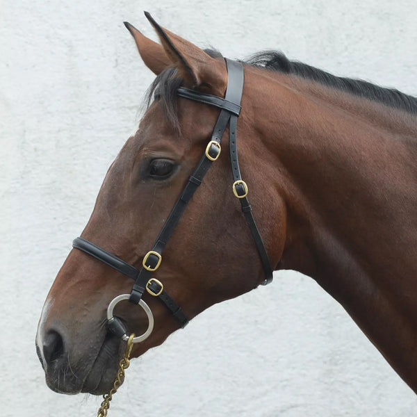 Mackey Classic In-Hand Bridle - Black