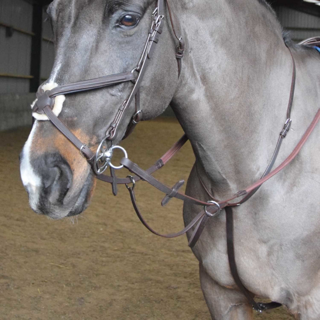 John Whitaker Ready To Ride Martingale - Black