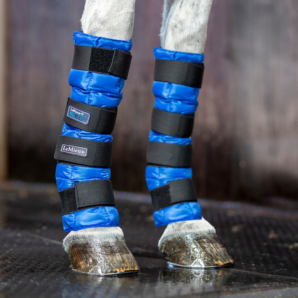 LeMieux Arctic Ice Boot - Navy