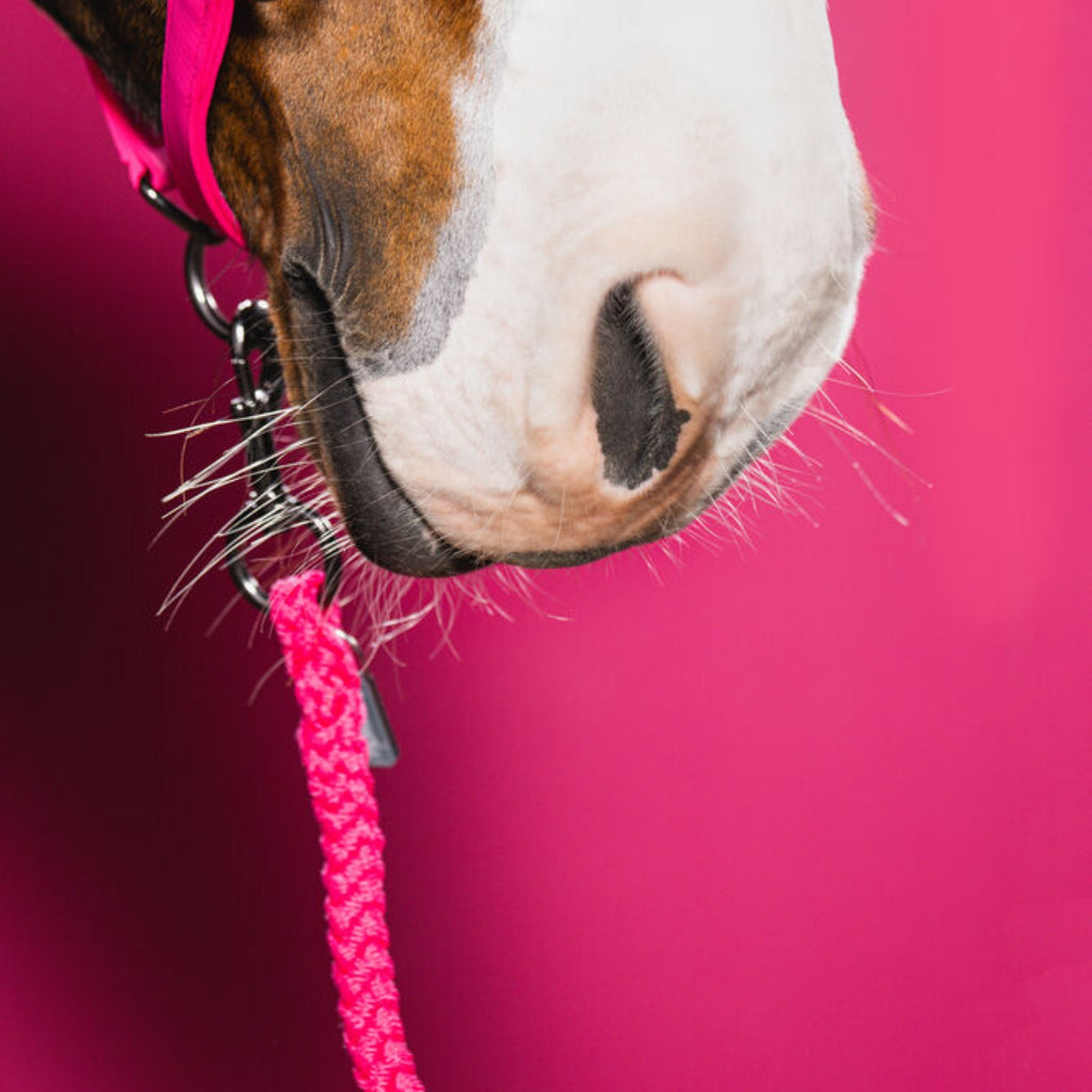 Eskadron Regular Lead Rope - Lipstick
