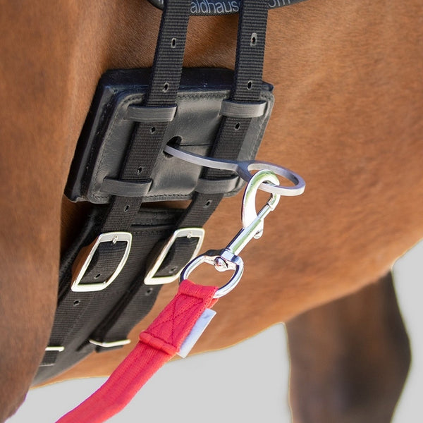 Mackey Equibender Lunging Aid