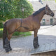 Mackey Shipping Aid - Black