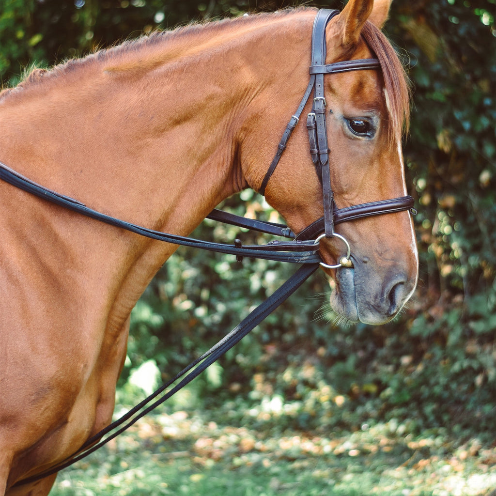 Mackey Equisential Padded Draw Reins - Black