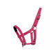 Mackey Mini Shetland Halter - Azalea