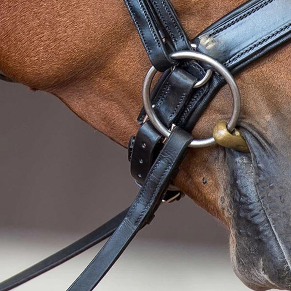 Fairfax Performance Fine Jowl Strap - Black