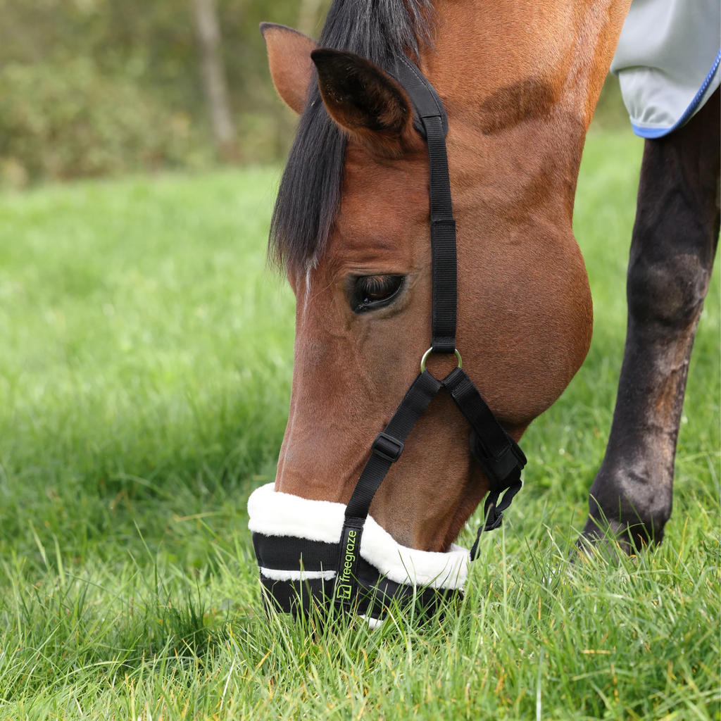 FreeGraze Shires Deluxe Comfort Grazing Muzzle
