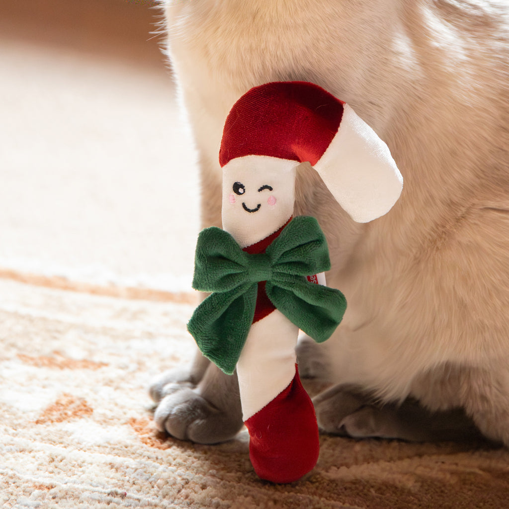 Rosewood Claude Candy Cane Cat Toy