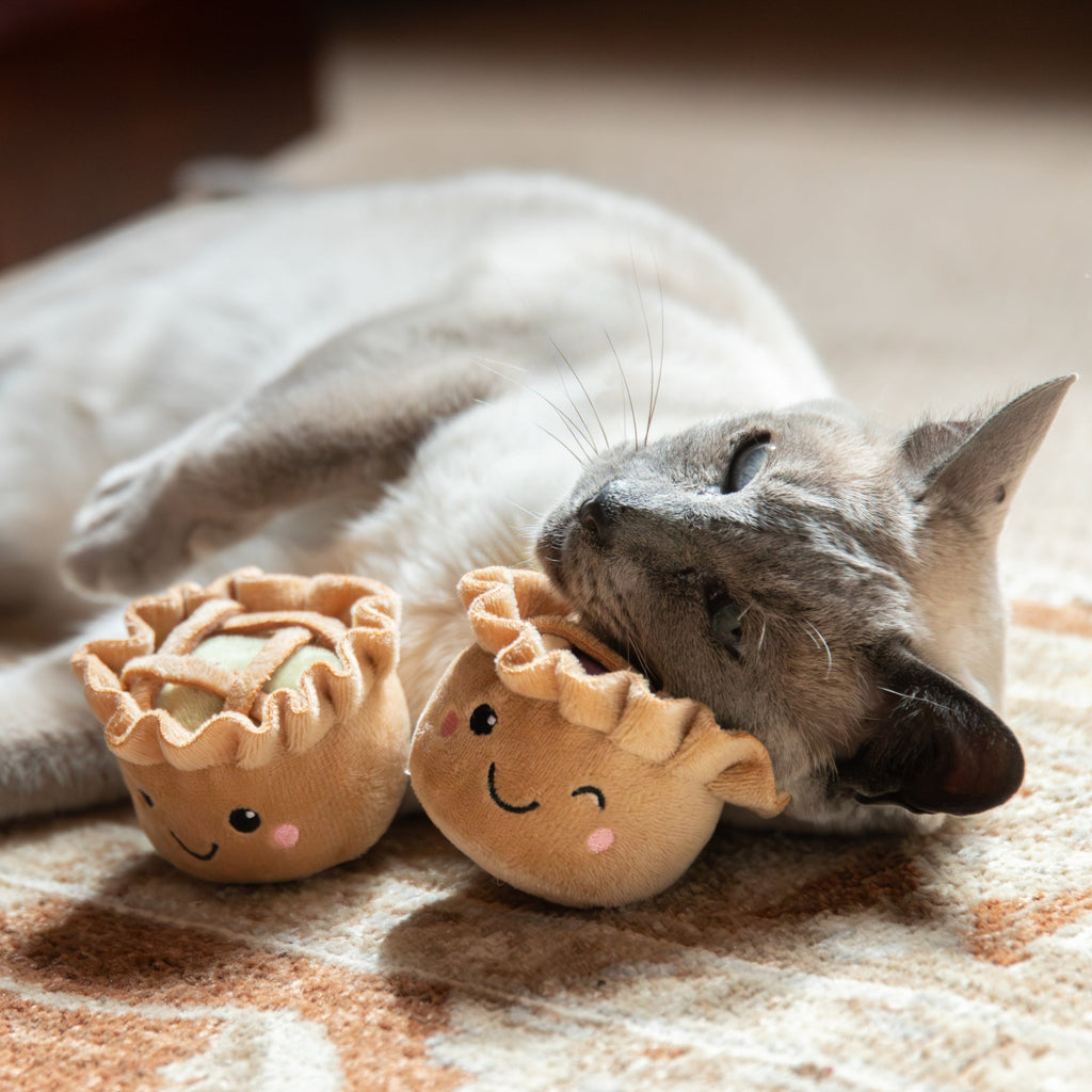 Rosewood Robby & Pingu Pie Duo Cat Toy