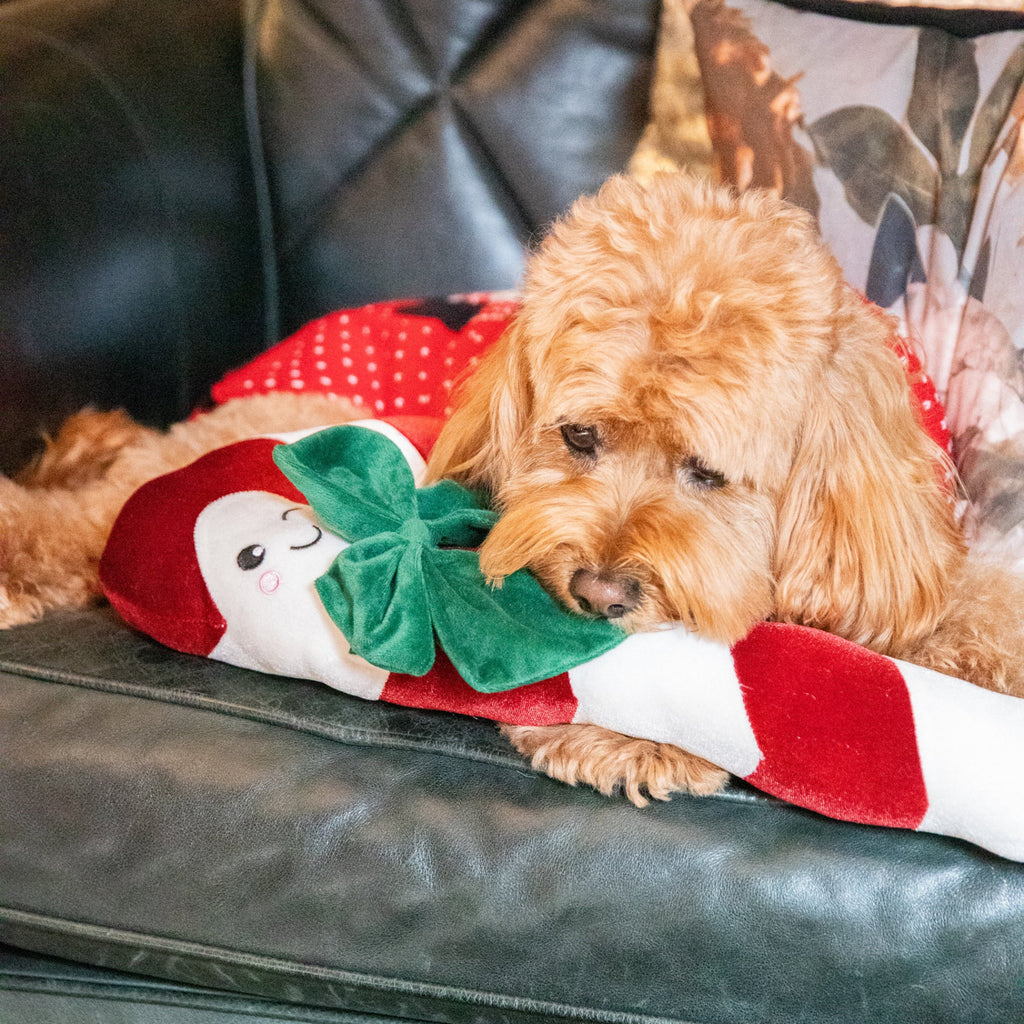 Rosewood Clarke Candy Cane