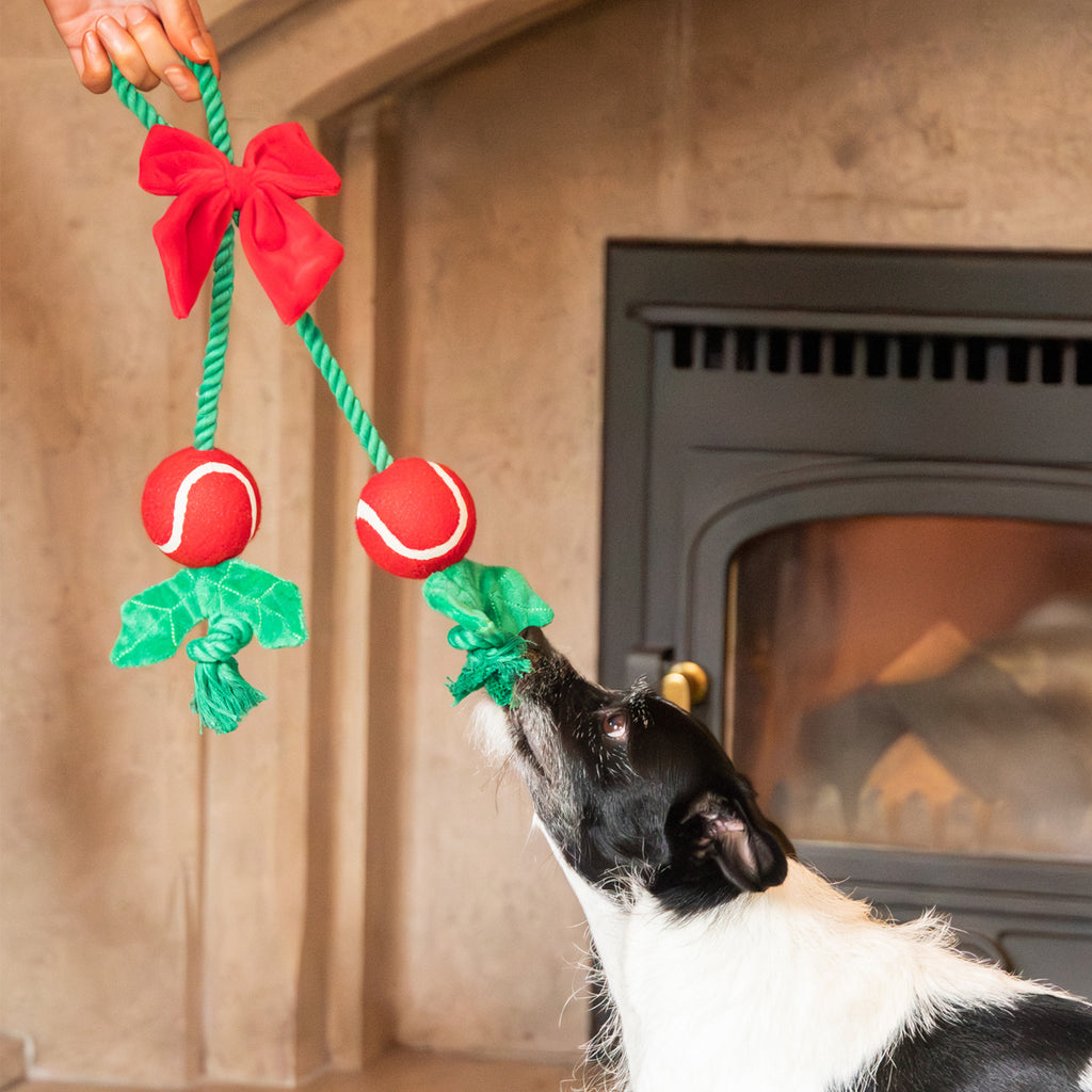 Rosewood Holly Jolly Rope Toy