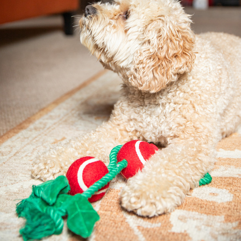 Rosewood Holly Jolly Rope Toy