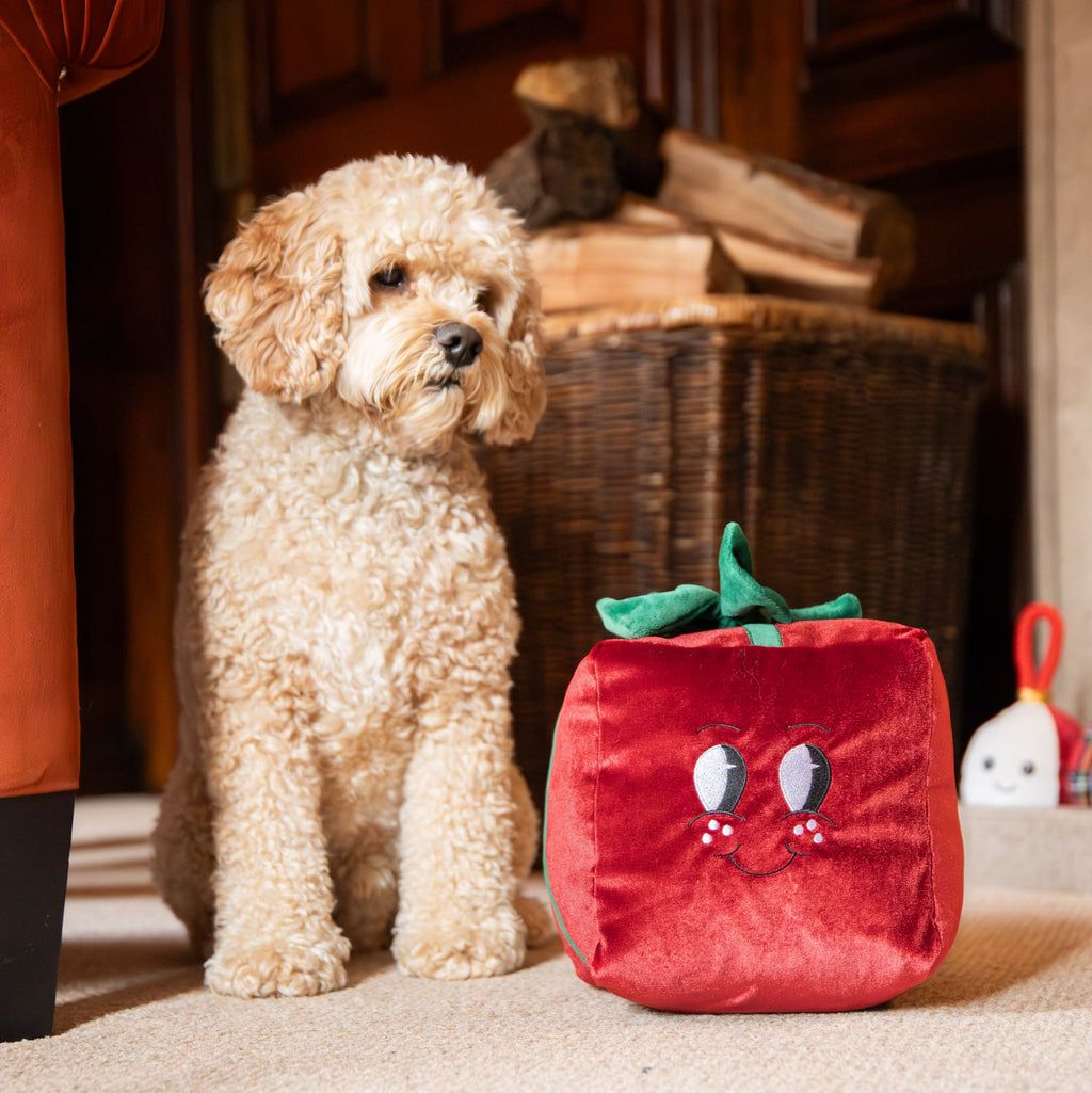 Rosewood Peter Present Dog Toy