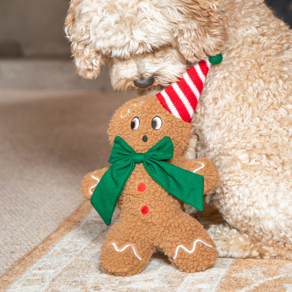 Rosewood George Gingerbread Man Dog Toy