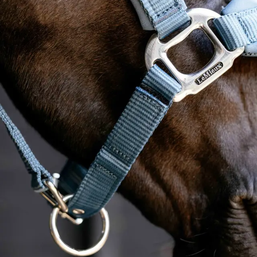 LeMieux Breakaway Vogue Headcollar - Ice Blue