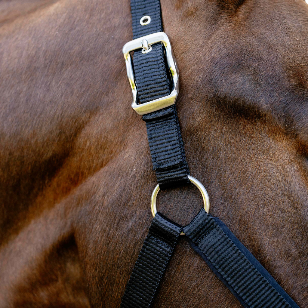 LeMieux Breakaway Vogue Headcollar - Black